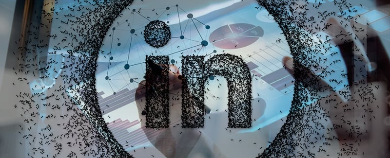 Servilia-como-crear-nuevas-conexiones-con-buen-marketing-en-linkedin-Oct-13-2023-08-26-47-1172-AM-Oct-13-2023-09-19-55-6189-AM